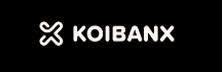 Koibanx - Top Payment & Card Solutions in LATAM Koibanx